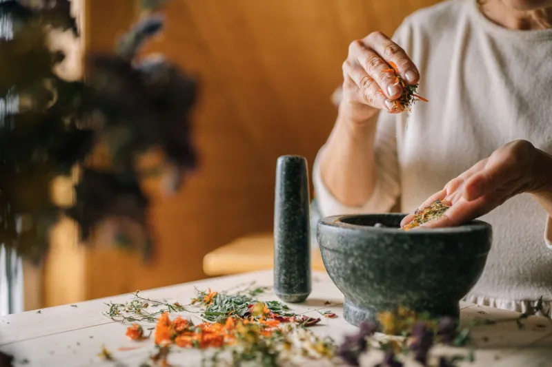 Lo Que Heredamos en las Manos: El Saber Medicinal Chapín que Sobrevive en las Ciudades de EE.UU.